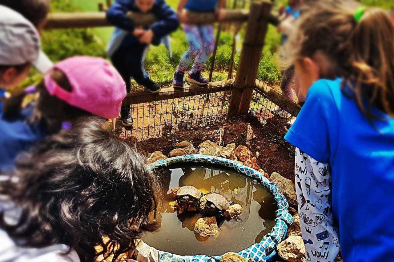 Casa Rural Finca Real De Niebla Ngoại thất bức ảnh