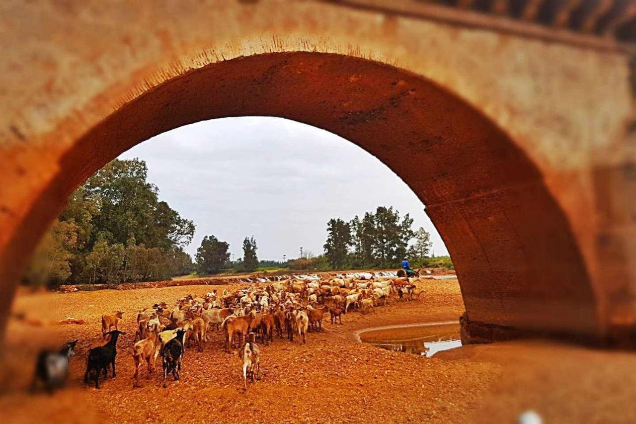 Casa Rural Finca Real De Niebla Ngoại thất bức ảnh