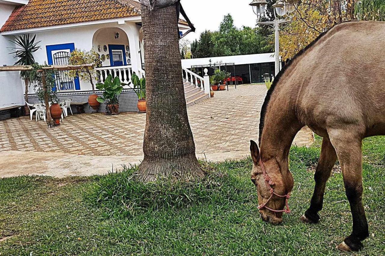 Casa Rural Finca Real De Niebla Ngoại thất bức ảnh