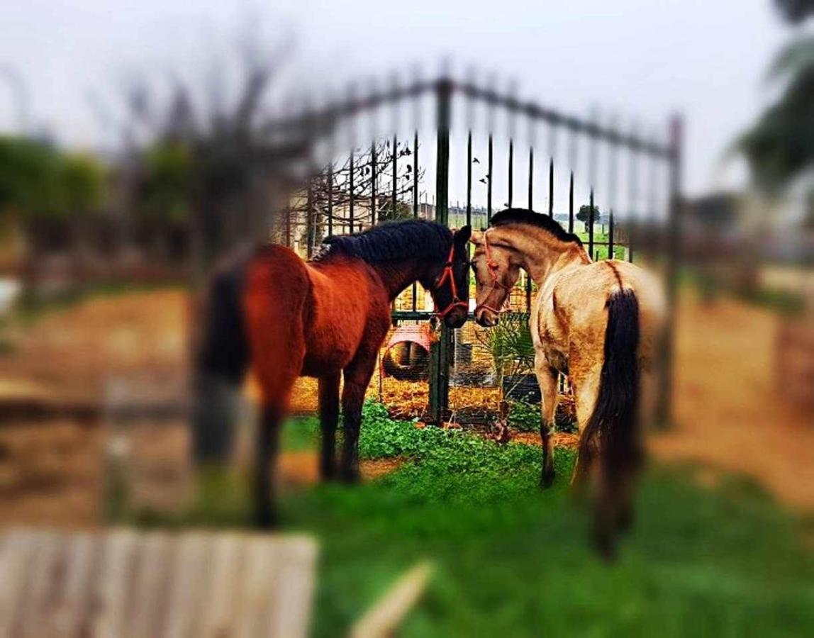 Casa Rural Finca Real De Niebla Ngoại thất bức ảnh