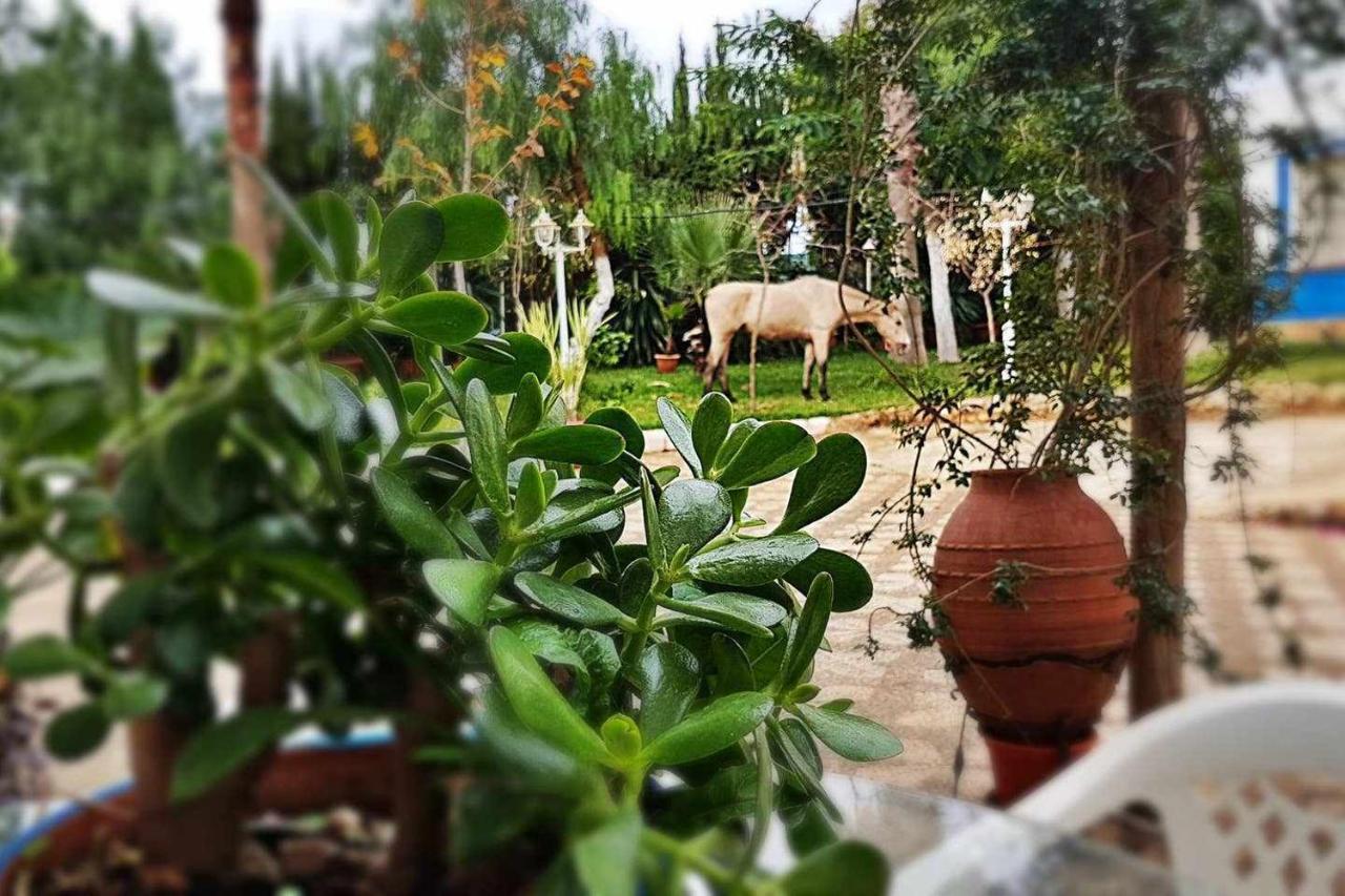 Casa Rural Finca Real De Niebla Ngoại thất bức ảnh