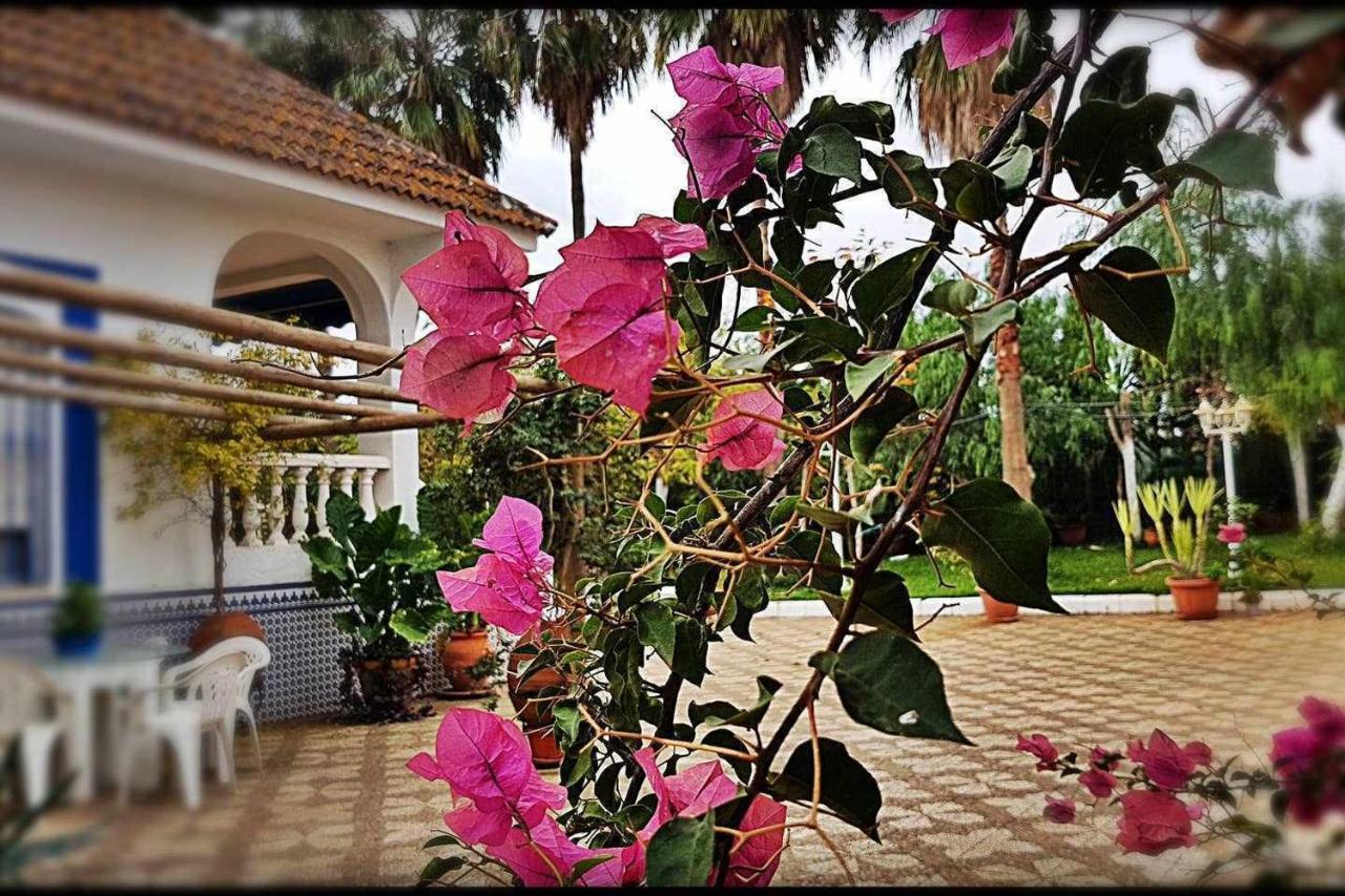 Casa Rural Finca Real De Niebla Ngoại thất bức ảnh